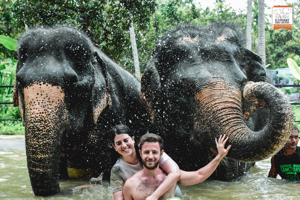 Koh Samui: Elephant Jungle Sanctuary Half-Day Tour - Key Points