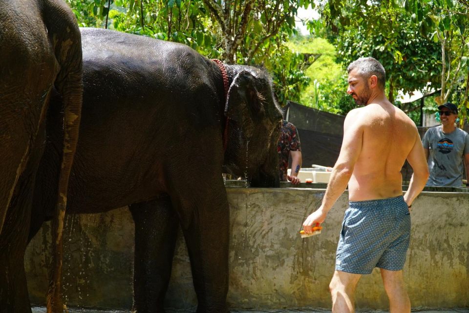 Koh Samui: Half-Day Ethical Elephant Sanctuary With Mud Spa - Key Points