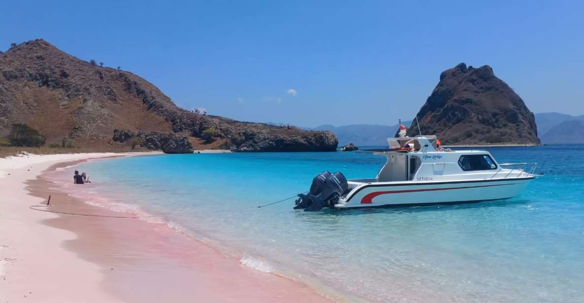 Komodo Tour : Full Day Private Speedboat All in Package - Key Points