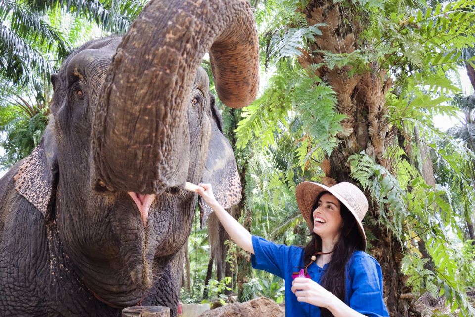 Krabi: Elephant Bathing Session at Krabi Elephant Shelter - Key Points