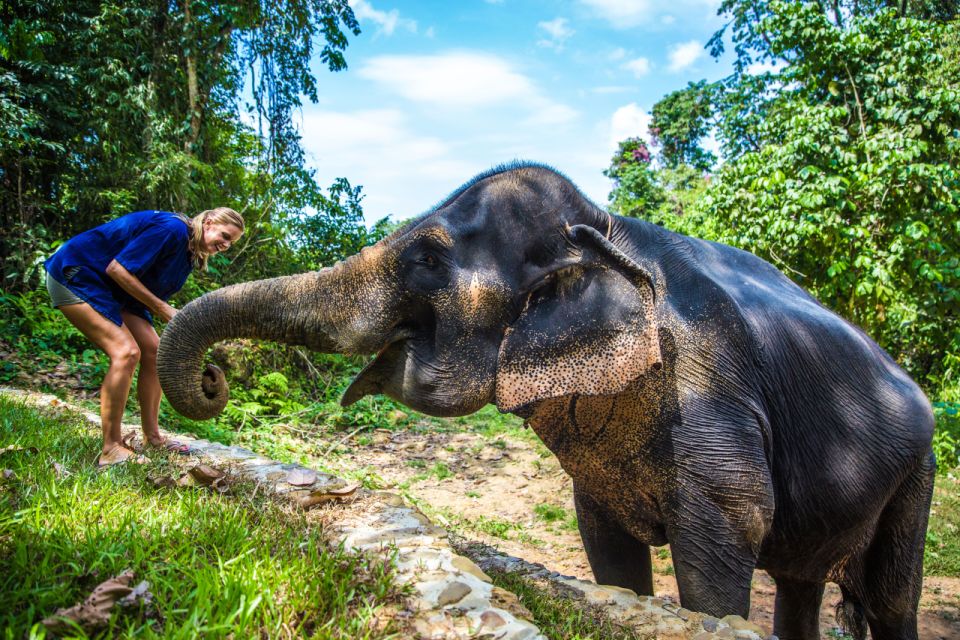 Krabi: Ethical Elephant Sanctuary Experience - Key Points