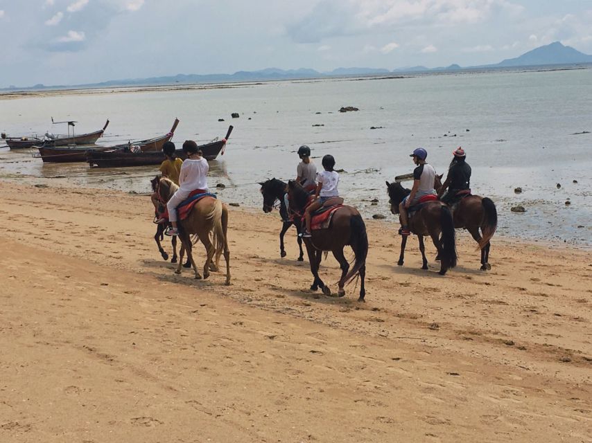 Krabi: Horseback Riding on the Beach - Key Points