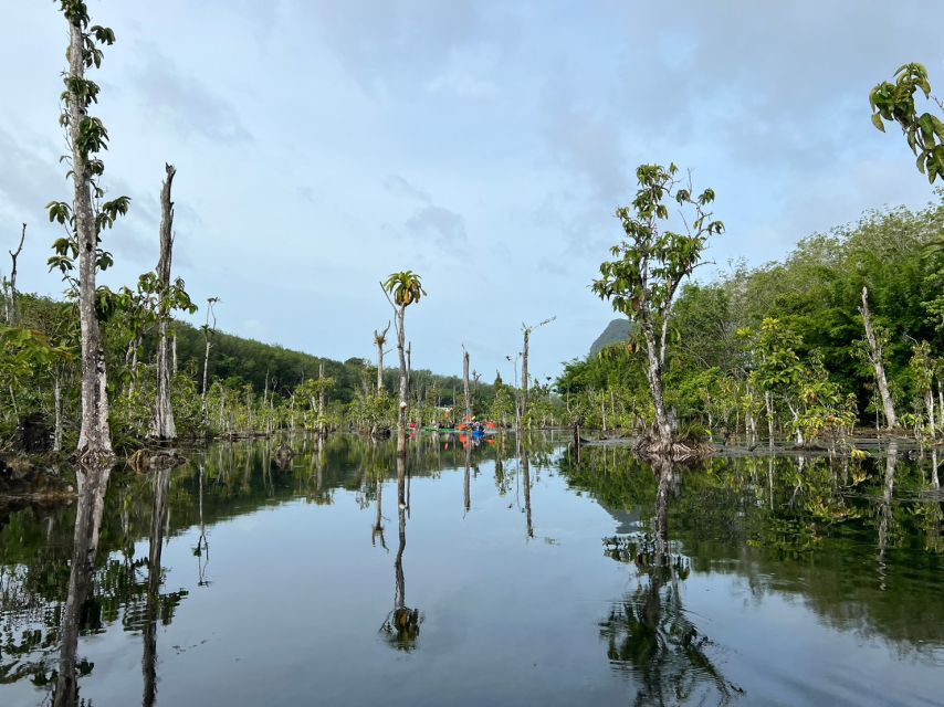 Krabi: Kayaking at Klong Nam Sai, Elephant Bathing & Feeding - Key Points