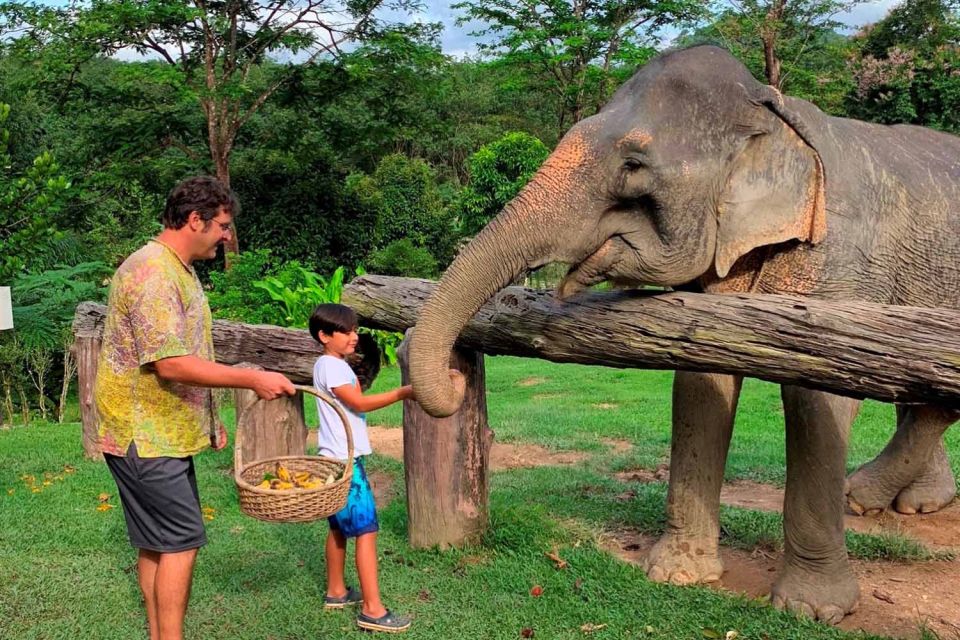 Krabi: Khao Sok Elephant Sanctuary, Rafting Tour, and Lunch - Key Points