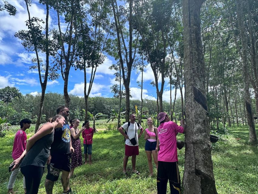 Krabi: Klong Root Kayaking Viewpoint,Fish Feeding and More - Key Points