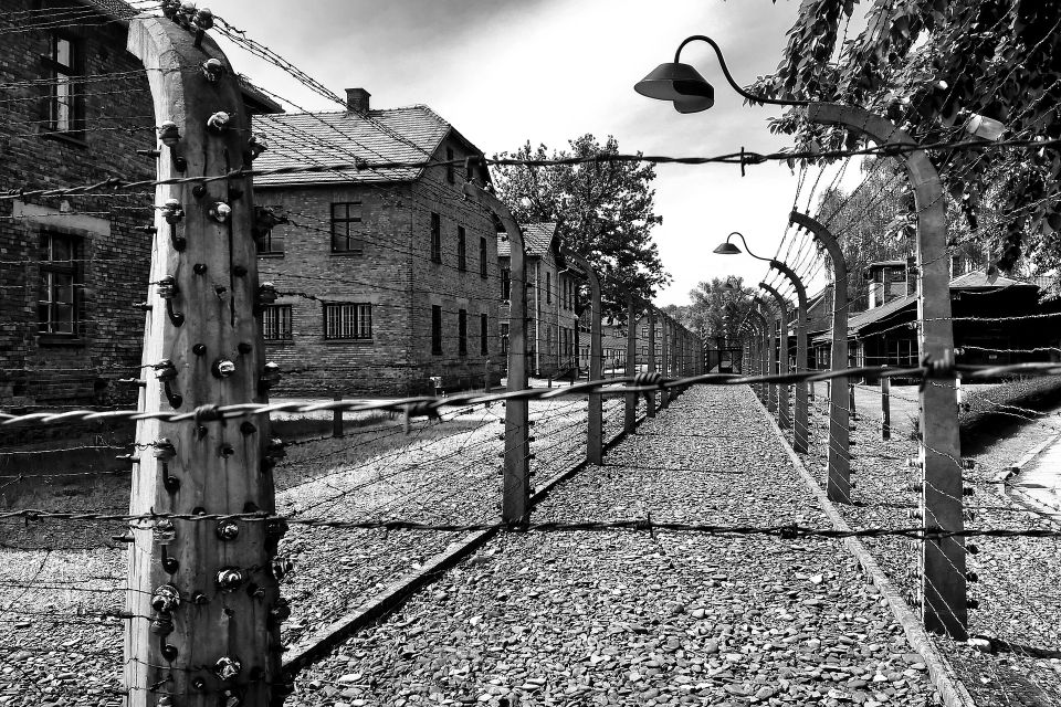 Kraków: Auschwitz-Birkenau and Wieliczka Salt Mine Day Trip - Key Points