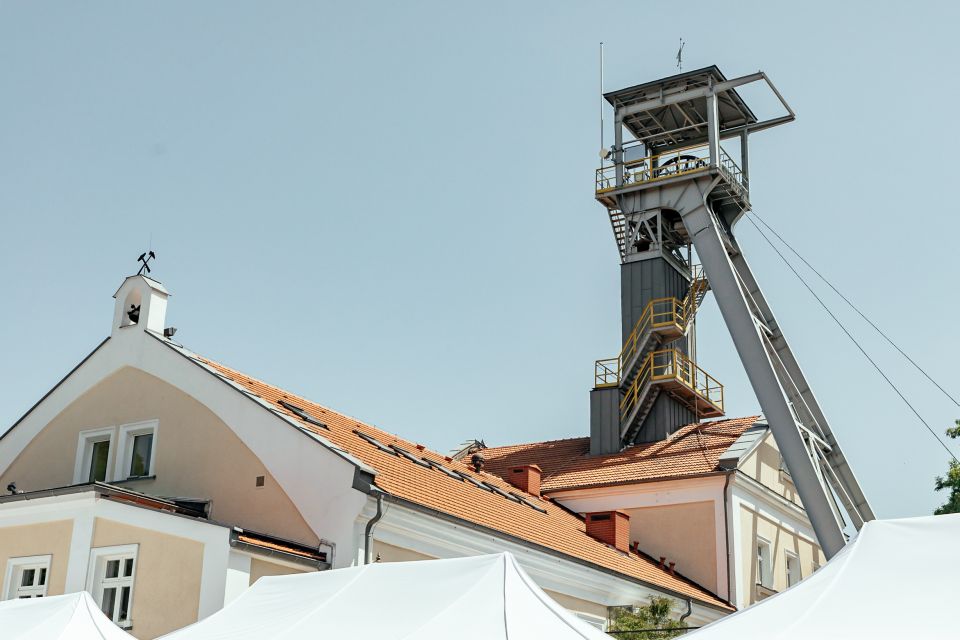 Krakow: Wieliczka Salt Mine Private Day Trip - Key Points