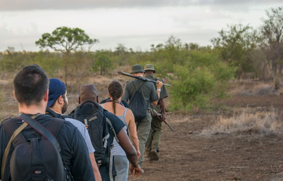 Kruger National Park: 3-Hour Walking Safari - Key Points