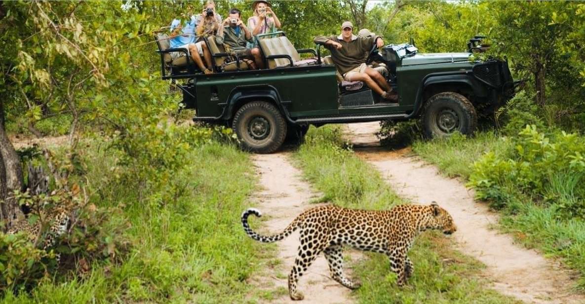 Kruger National Park - 4 Day Tour From Johannesburg - Just The Basics