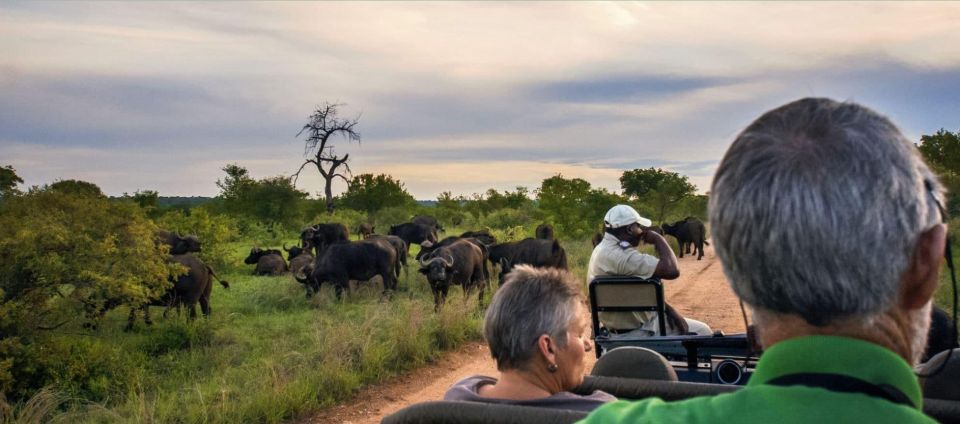 Kruger National Park Big 5 Tour - 4 Days From Johannesburg - Just The Basics
