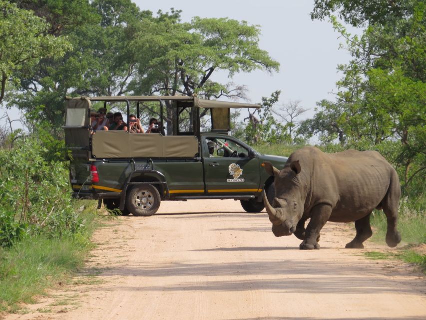 Kruger National Park: Full-Day Private Safari With Pickup - Just The Basics