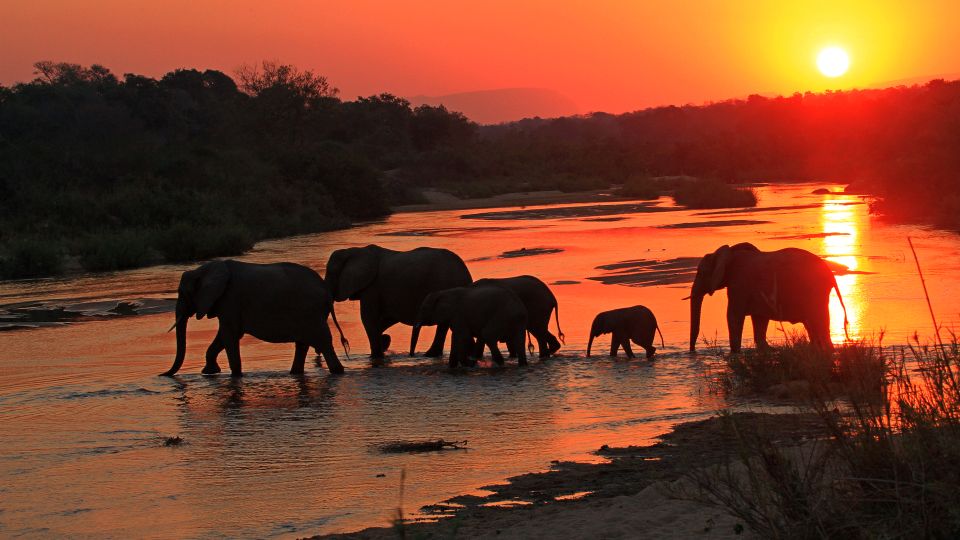 Kruger National Park: Justicia Village Visit & Safari Tour - Key Points