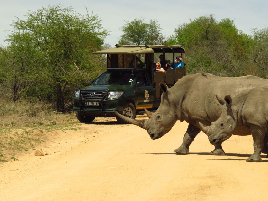 Kruger National Park: Morning Safari - Just The Basics