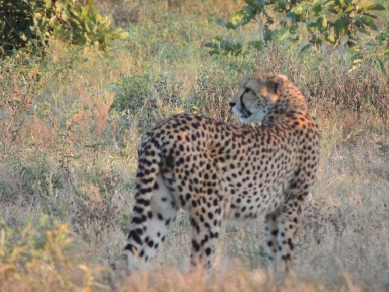 Kruger National Park Safari – 3 Day