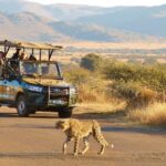 kruger park scheduled full day safari drive from hazyview Kruger Park Scheduled Full Day Safari Drive From Hazyview