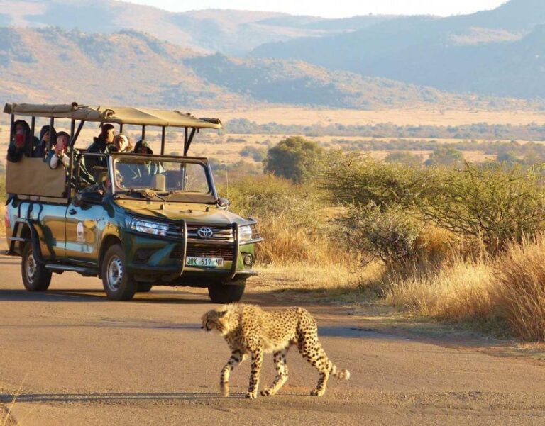 Kruger Park Scheduled Full Day Safari Drive From Hazyview