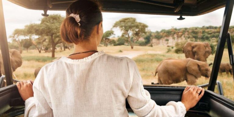 Kruger Park Scheduled Full Day Safari Drive From Hoedspruit