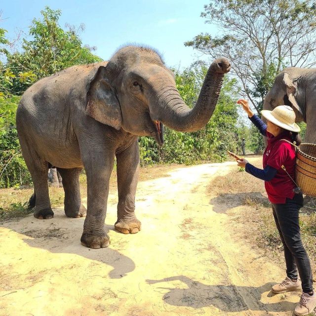 Kulen Elephant Siem Reap Forest in Small Group Tour - Key Points