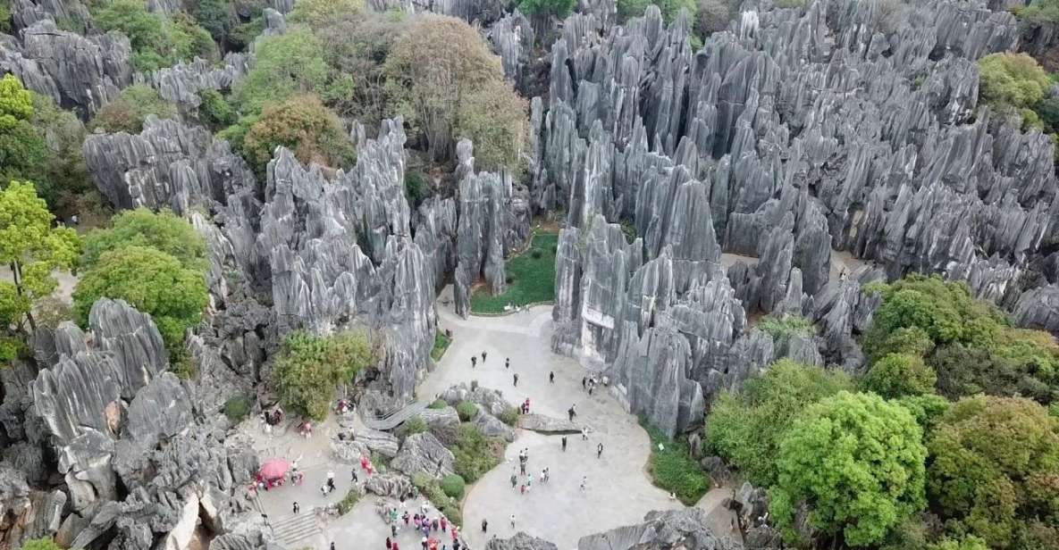 Kunming: Private Half Day Tour of Stone Forest Park W/Option - Just The Basics
