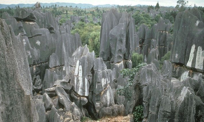 Kunming: Stone Forest Private Day Tour - Just The Basics