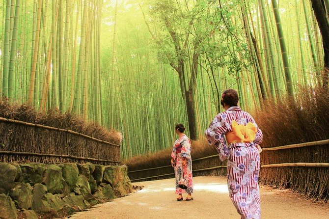 Kyoto Arashiyama & Sagano Bamboo Private Tour With Government-Licensed Guide - Just The Basics