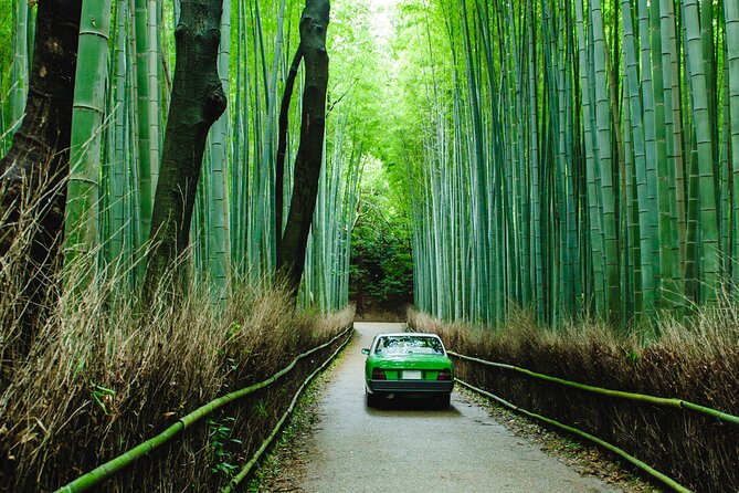 Kyoto Private 6 Hour Tour: English Speaking Driver Only, No Guide - Just The Basics
