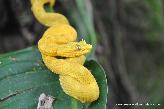 La Fortuna Wildlife Safari Float Tour - Booking Information