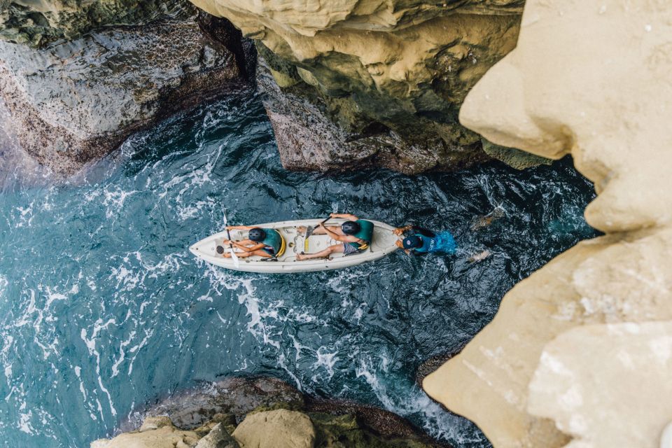 La Jolla Underwater Park: Kayak and Snorkel Tour - Key Points