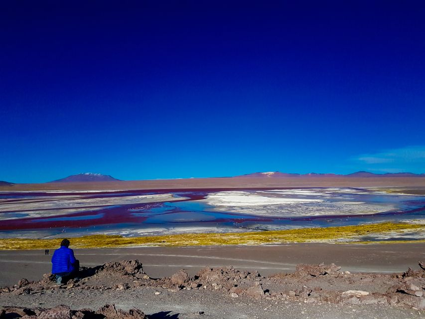 La Paz: Uyuni Salt Flats & Isla Incahuasi 5-Day Bus Tour - Key Points