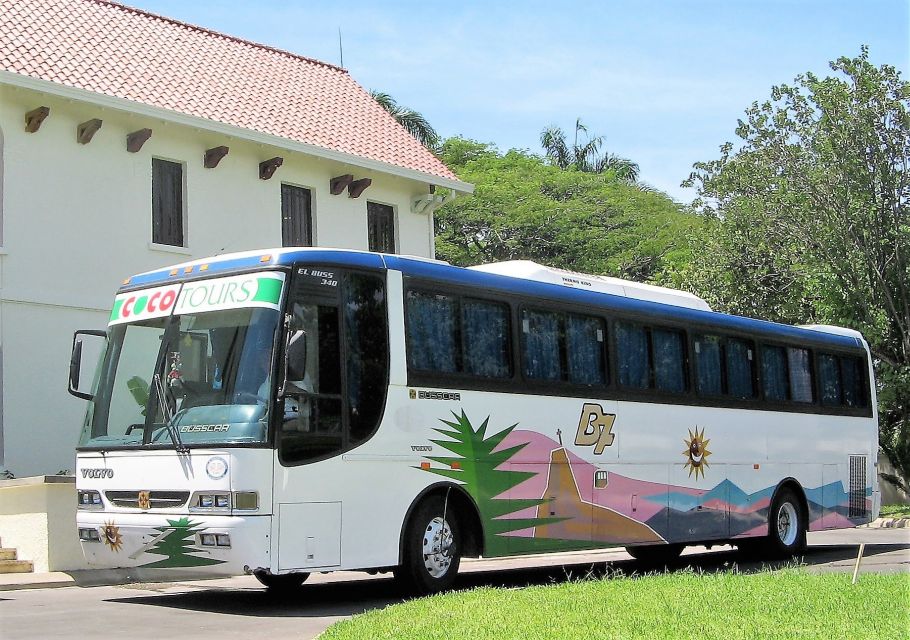 La Romana Airport: Round-Trip Private Transfer - Just The Basics