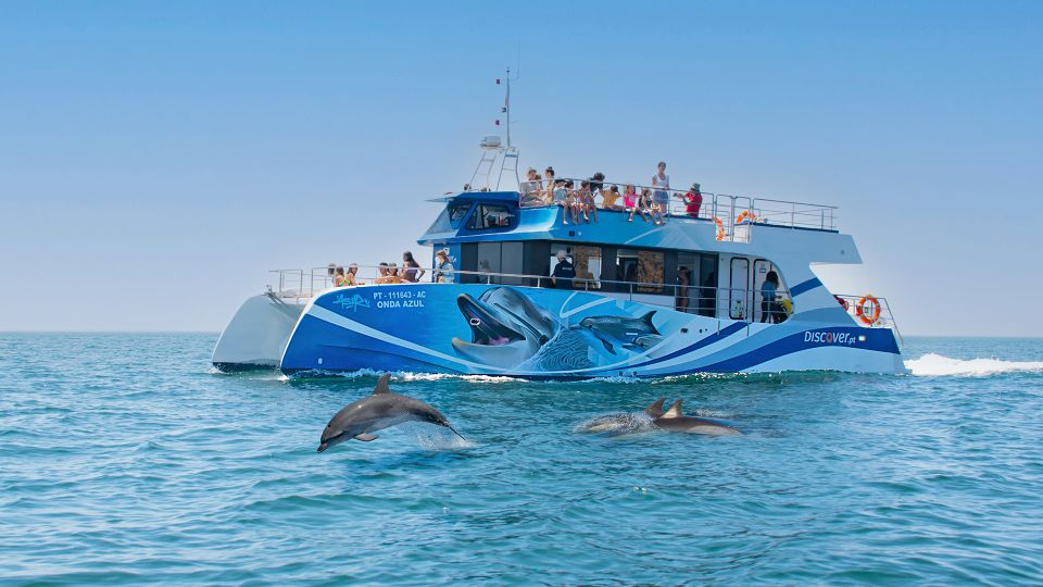 Lagos: Dolphin Watching Half-Day Cruise & Water Activities - Key Points