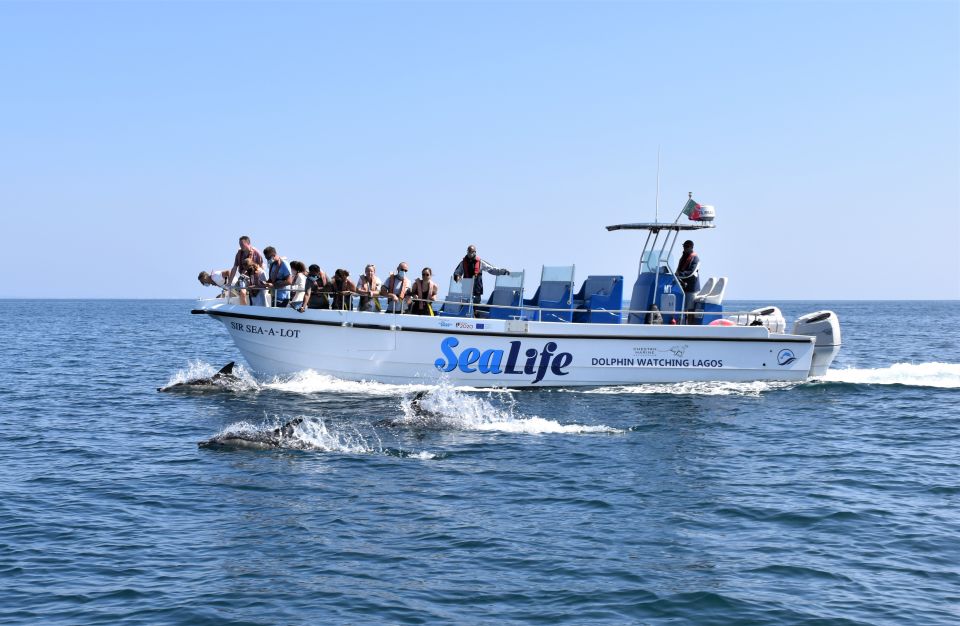 Lagos: Dolphin Watching With Marine Biologists - Key Points