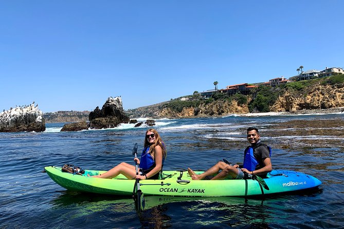 Laguna Beach Open Ocean Kayaking Tour With Sea Lion Sightings - Just The Basics