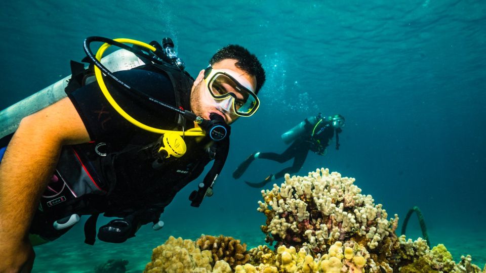 Lahaina: Discover Scuba Diving Class - Key Points