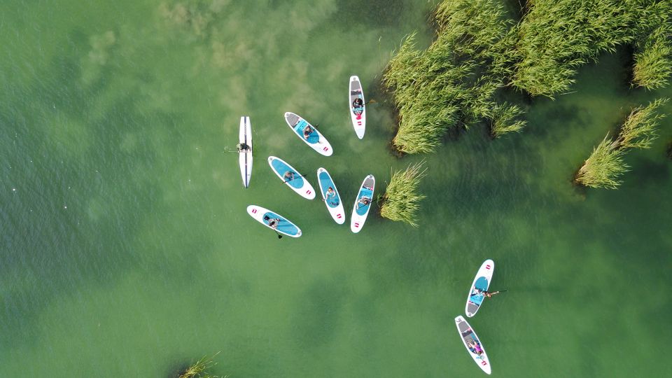 Lake Balaton: Paddle Board Tour of Tihany National Park - Key Points