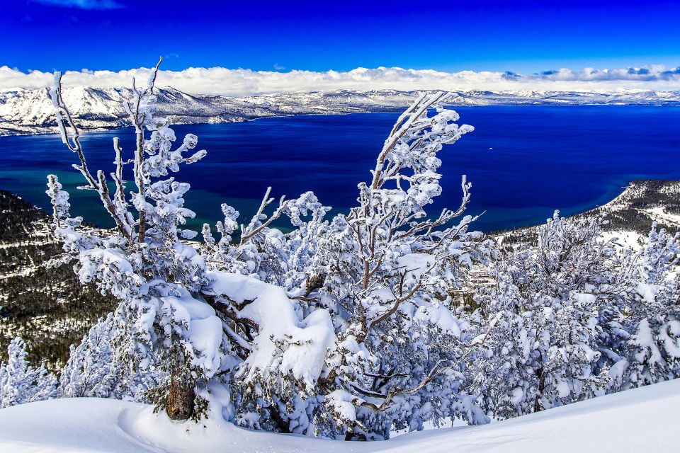 Lake Tahoe: Half-Day Photographic Scenic Tour - Key Points