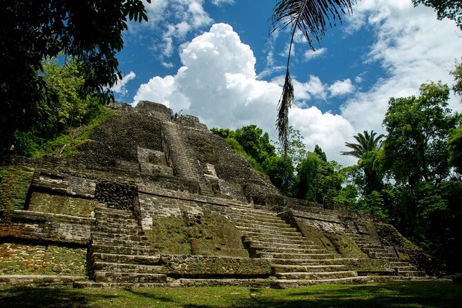 Lamanai and the New River Safari in Belize - Key Points