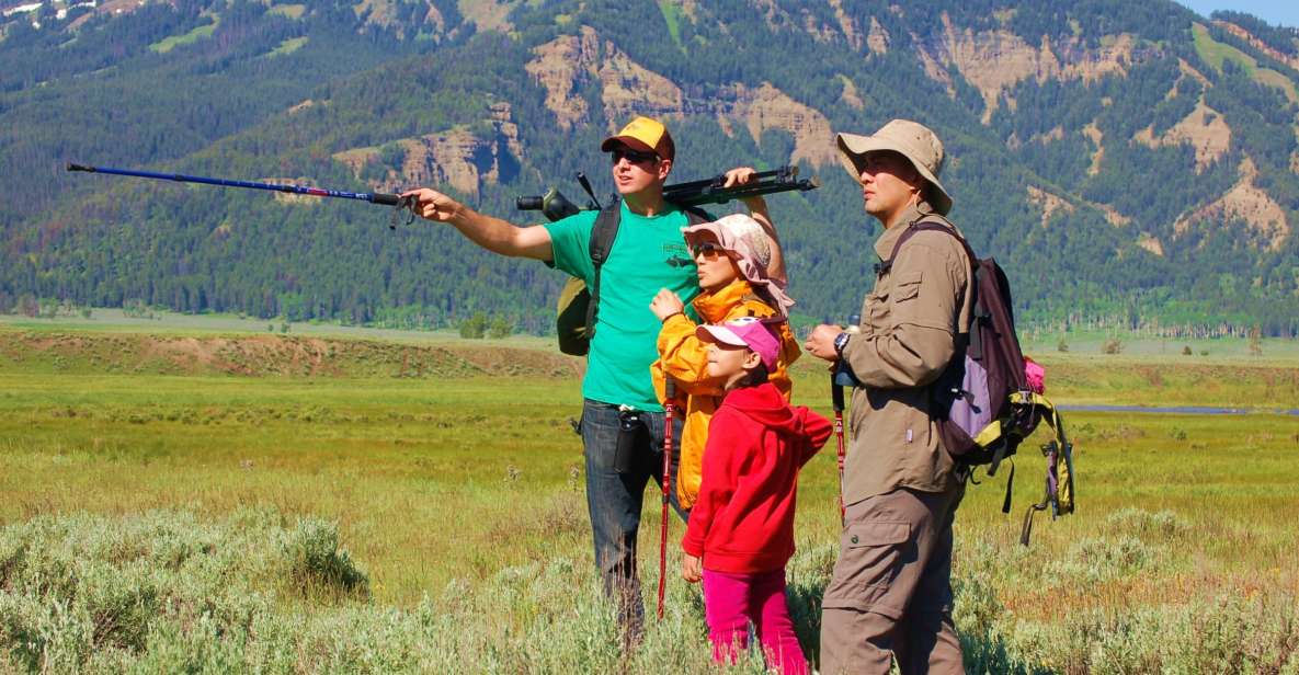 Lamar Valley: Safari Hiking Tour With Lunch - Key Points