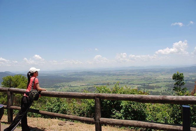 Lamington National Park, OReillys & Vineyard Tour - Key Points