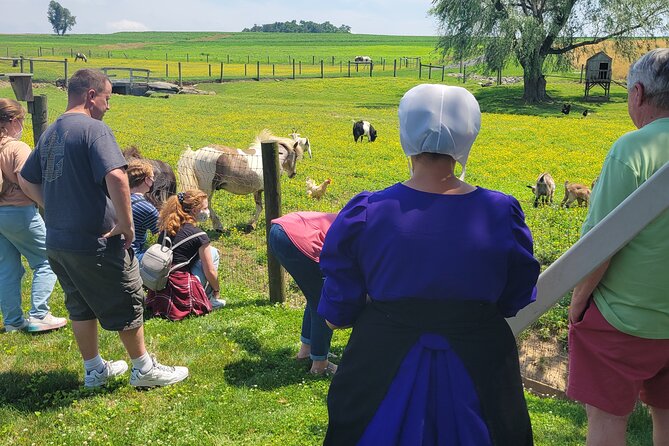 Lancaster County Amish Culture Small-Group Half-Day Tour - Just The Basics