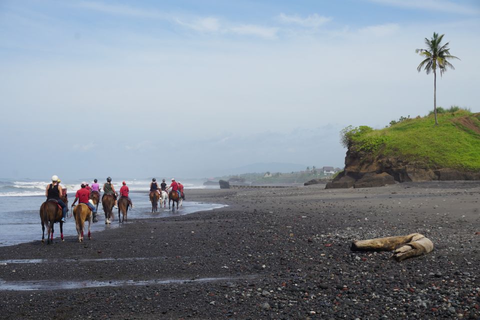 Langudu: Horse Riding on the Beach and in the Rice Fields - Key Points