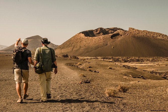 Lanzarote Volcanoes Small-Group Half-Day Walking Tour - Just The Basics