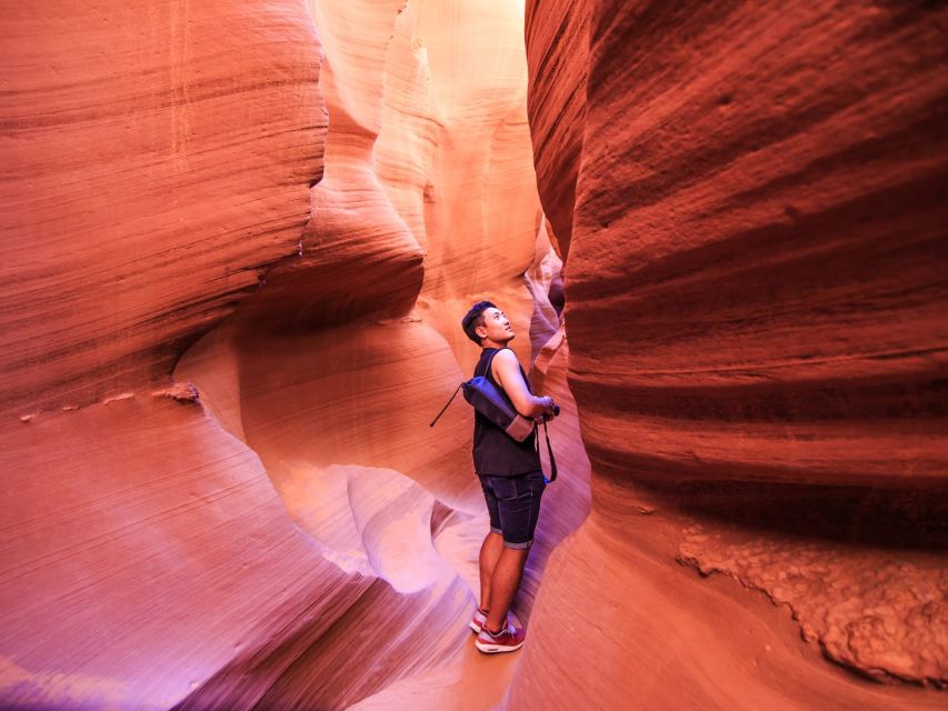 Las Vegas: Antelope Canyon & Horseshoe Bend Tour - Key Points