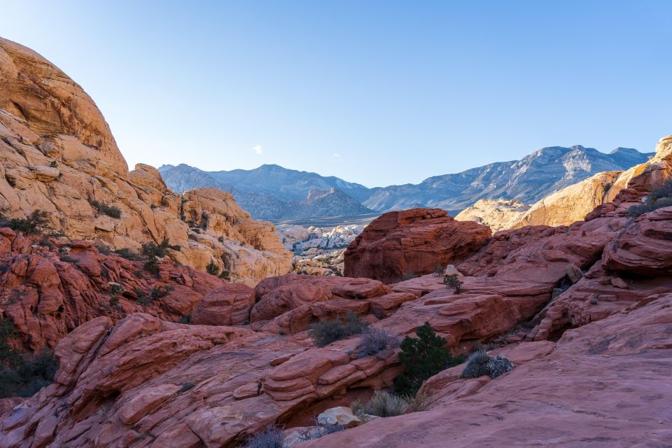 Las Vegas: Death Valley and Red Rock Canyon Day Tour - Key Points