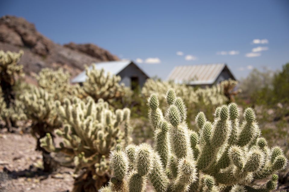 Las Vegas: Eldorado Canyon Gold Mine Tour - Key Points