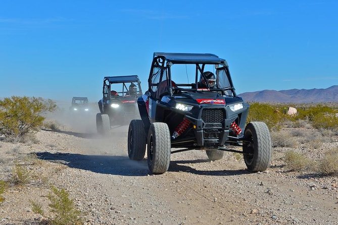 Las Vegas Off Road Mojave Desert Tour - Just The Basics