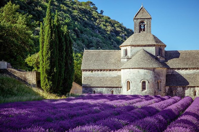 Lavender Beauty Small Group Half Day Tour From Avignon - Key Points