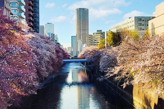Licensed Guide Tokyo Meguro Cherry Blossom Walking Tour - Key Points