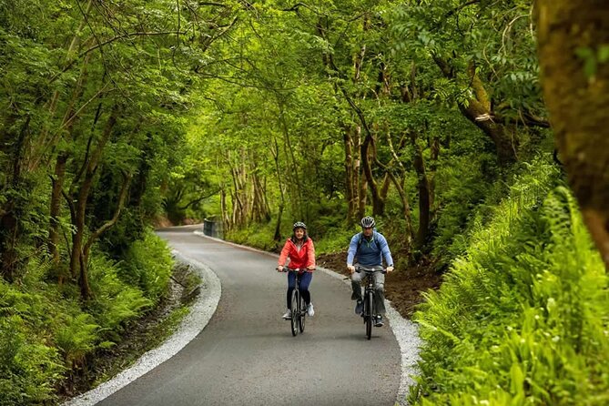 Limerick Greenway Bicycle Hire - Key Points