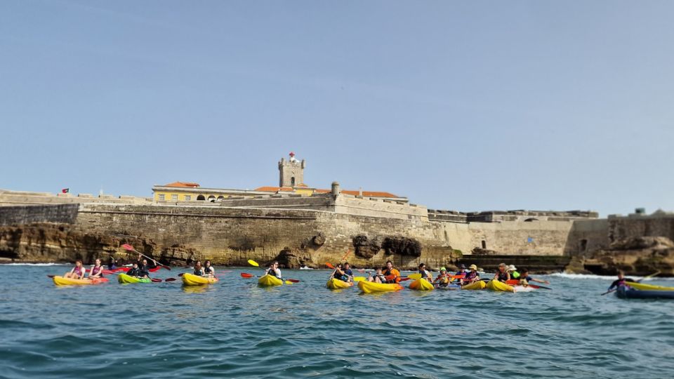 Lisbon Coast Guided Kayak Tour - Key Points